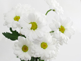 White flowers