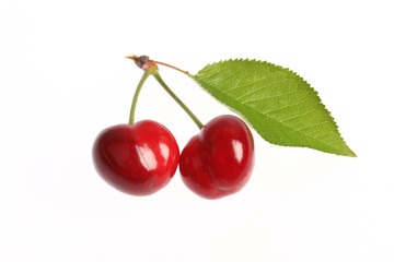 Ripe cherries on white
