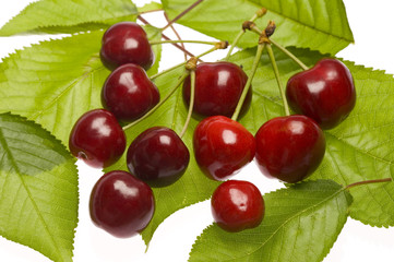 Bunch bof cherries on leaves