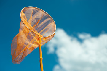 Obraz premium catching the butterflies