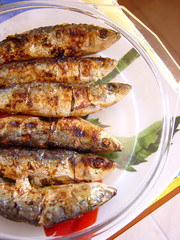 Sardinhas-Sardine-Pilchard-Fish-Sardina-Peixe-Sardinha
