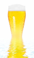 beer glass