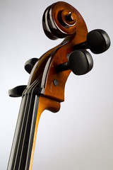 cello