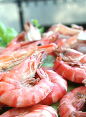 Grilled Shrimp - Shellfish - Camarão