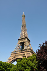 Tour Eiffel, Paris - Arbres au premier plan