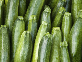 Objects - Cucumber Background