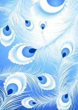 White peacock feather background