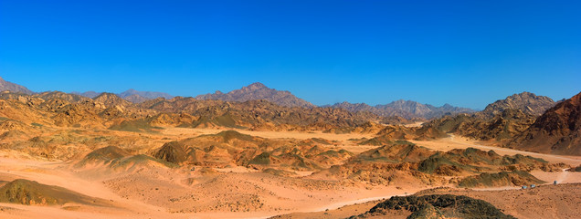 Panorama of Sinai desert