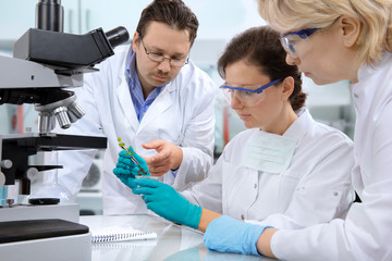 scientists working at the laboratory