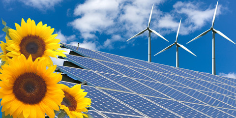 Sonnenenergie / Solar, Sonnenblume & Windrad