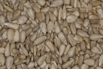 Sunflower Seeds