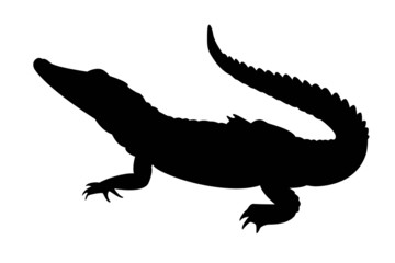 Naklejka premium czarna sylwetka aligatora