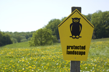 Naturschutzgebiet, Blumenwiese
