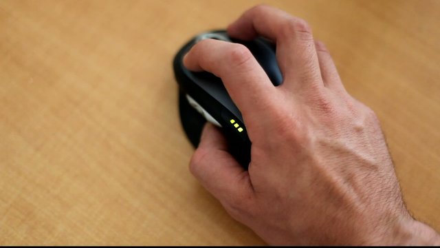 souris en action