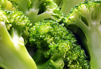 Broccoli steamed close up