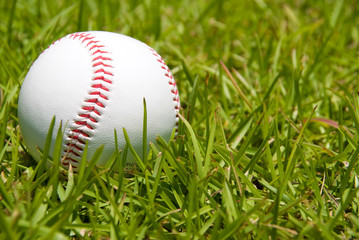 Baseball