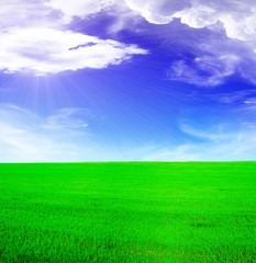 Fototapeta na wymiar Letni krajobraz - błękitne niebo słoneczny