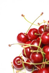 cerise