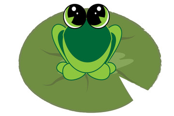 Grenouille sur nenuphar