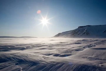 Rolgordijnen Frozen Arctic Landscape © Tyler Olson