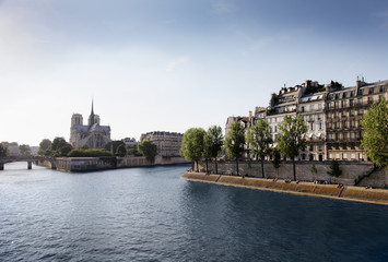 Fototapeta premium Paris