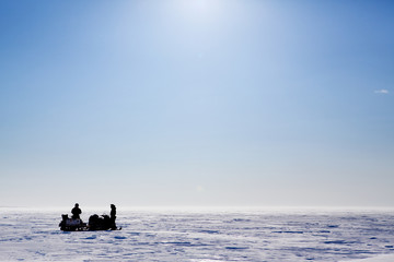 Barren Snow Landscape