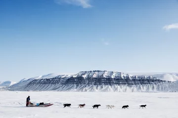 Selbstklebende Fototapete Nördlicher Polarkreis Hundeschlitten-Expedition