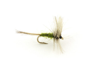 Obraz premium Small trout fishing fly