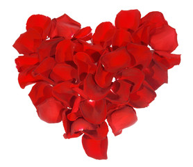 Naklejka premium Background from the living petals of flowers, sainted Valentine