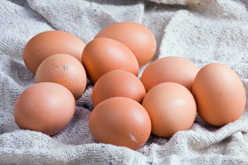 Chicken eggs on a sacking