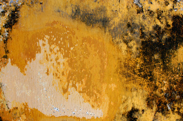 muro