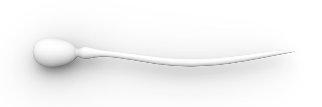 Sperma Zelle