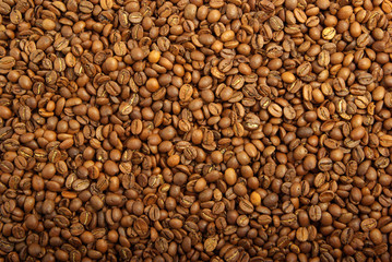 aromatic coffee beans