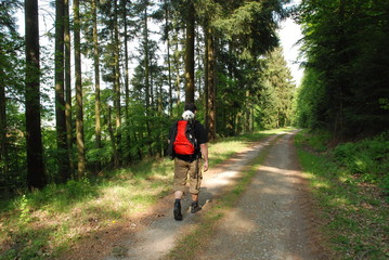 Mann wandert mit Hund