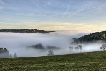 Nebelmeer Nebel Landschaft