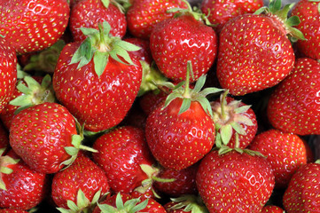 erdbeeren