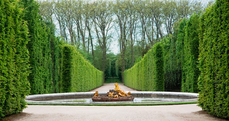Fototapeta premium Versailles Garden, France