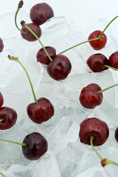 Ice Cherries. Fresh cherries with ice cubes