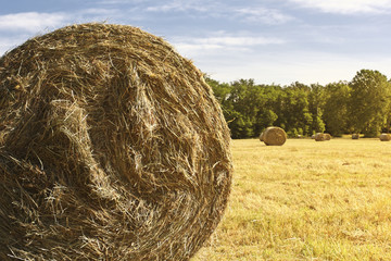 bales background