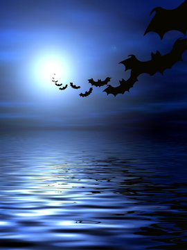 Bats flying over the water