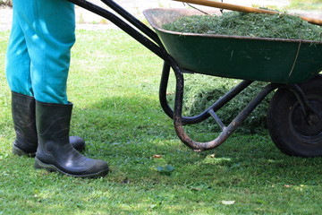 Mann in Gummistiefel mit Schubkarre voller Gras