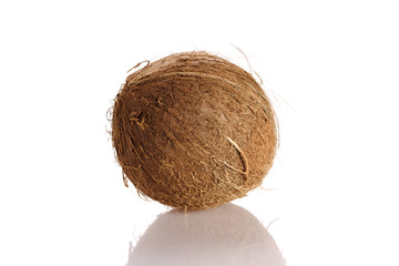 Coconut isolated on white