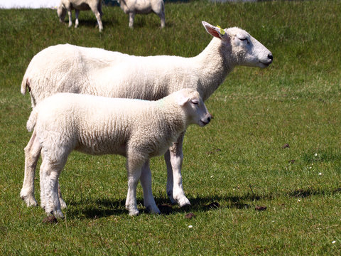 Mutter und Kind