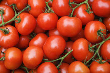Tomates