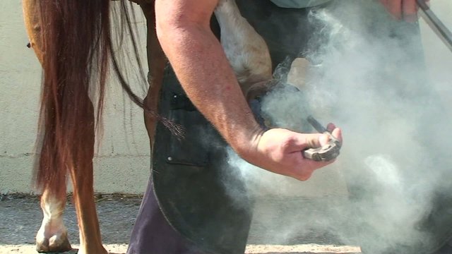 Mar&eacute;chal ferrant