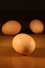 eggs