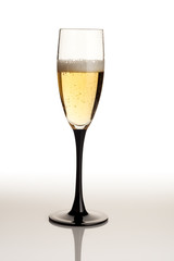 Wine glass and sparkling wine