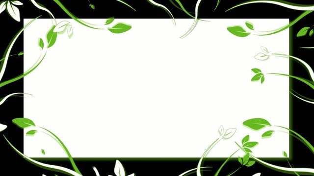 Animation cadre fleurs