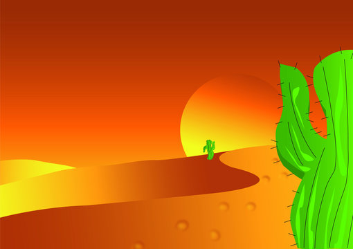 Desert