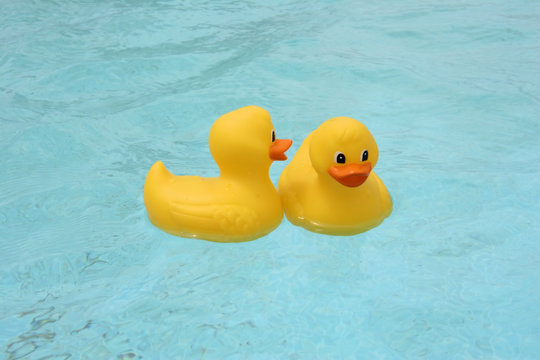 Gossiping rubber ducks in the swiming pool